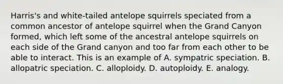 Harris's and white-tailed antelope squirrels speciated from a common ancestor of antelope squirrel when the Grand Canyon formed, which left some of the ancestral antelope squirrels on each side of the Grand canyon and too far from each other to be able to interact. This is an example of A. sympatric speciation. B. allopatric speciation. C. alloploidy. D. autoploidy. E. analogy.