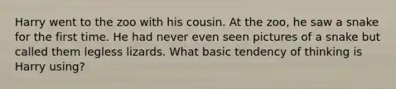 Harry went to the zoo with his cousin. At the zoo, he saw a snake for the first time. He had never even seen pictures of a snake but called them legless lizards. What basic tendency of thinking is Harry using?