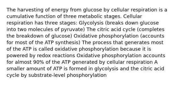 The harvesting of energy from glucose by <a href='https://www.questionai.com/knowledge/k1IqNYBAJw-cellular-respiration' class='anchor-knowledge'>cellular respiration</a> is a cumulative function of three metabolic stages. Cellular respiration has three stages: Glycolysis (breaks down glucose into two molecules of pyruvate) The citric acid cycle (completes the breakdown of glucose) <a href='https://www.questionai.com/knowledge/kFazUb9IwO-oxidative-phosphorylation' class='anchor-knowledge'>oxidative phosphorylation</a> (accounts for most of the <a href='https://www.questionai.com/knowledge/kx3XpCJrFz-atp-synthesis' class='anchor-knowledge'>atp synthesis</a>) The process that generates most of the ATP is called oxidative phosphorylation because it is powered by redox reactions Oxidative phosphorylation accounts for almost 90% of the ATP generated by cellular respiration A smaller amount of ATP is formed in glycolysis and the citric acid cycle by substrate-level phosphorylation