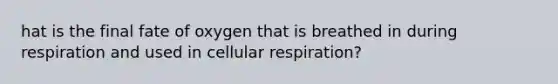 hat is the final fate of oxygen that is breathed in during respiration and used in cellular respiration?