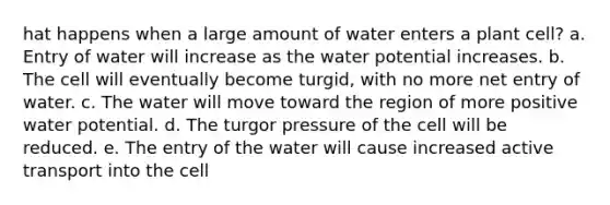 hat happens when a large amount of water enters a plant cell? a. Entry of water will increase as the water potential increases. b. The cell will eventually become turgid, with no more net entry of water. c. The water will move toward the region of more positive water potential. d. The turgor pressure of the cell will be reduced. e. The entry of the water will cause increased active transport into the cell