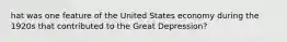 hat was one feature of the United States economy during the 1920s that contributed to the Great Depression?