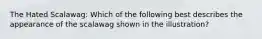 The Hated Scalawag: Which of the following best describes the appearance of the scalawag shown in the illustration?