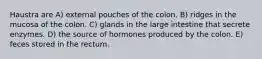 Haustra are A) external pouches of the colon. B) ridges in the mucosa of the colon. C) glands in the large intestine that secrete enzymes. D) the source of hormones produced by the colon. E) feces stored in the rectum.