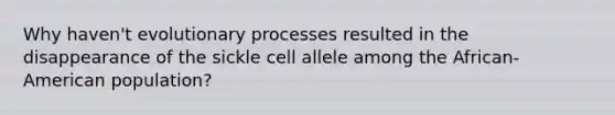 Why haven't evolutionary processes resulted in the disappearance of the sickle cell allele among the African-American population?