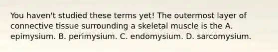 You haven't studied these terms yet! The outermost layer of connective tissue surrounding a skeletal muscle is the A. epimysium. B. perimysium. C. endomysium. D. sarcomysium.