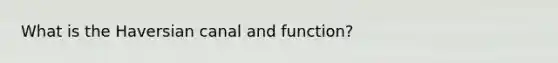 What is the Haversian canal and function?