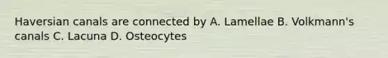 Haversian canals are connected by A. Lamellae B. Volkmann's canals C. Lacuna D. Osteocytes