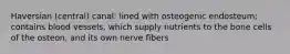 Haversian (central) canal: lined with osteogenic endosteum; contains blood vessels, which supply nutrients to the bone cells of the osteon, and its own nerve fibers