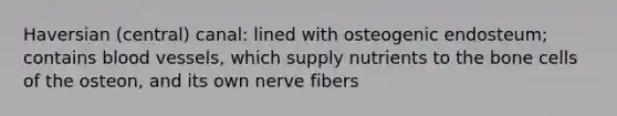 Haversian (central) canal: lined with osteogenic endosteum; contains blood vessels, which supply nutrients to the bone cells of the osteon, and its own nerve fibers