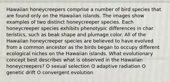 Hawaiian honeycreepers comprise a number of bird species that are found only on the Hawaiian islands. The images show examples of two distinct honeycreeper species. Each honeycreeper species exhibits phenotypic differences in char teristics, such as beak shape and plumage color. All of the Hawaiian honeycreeper species are believed to have evolved from a common ancestor as the birds began to occupy different ecological niches on the Hawaiian islands. What evolutionary concept best describes what is observed in the Hawaiian honeycreepers? O sexual selection O adaptive radiation O genetic drift O convergent evolution