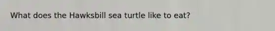 What does the Hawksbill sea turtle like to eat?