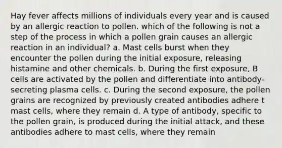 Hay fever affects millions of individuals every year and is caused by an allergic reaction to pollen. which of the following is not a step of the process in which a pollen grain causes an allergic reaction in an individual? a. Mast cells burst when they encounter the pollen during the initial exposure, releasing histamine and other chemicals. b. During the first exposure, B cells are activated by the pollen and differentiate into antibody-secreting plasma cells. c. During the second exposure, the pollen grains are recognized by previously created antibodies adhere t mast cells, where they remain d. A type of antibody, specific to the pollen grain, is produced during the initial attack, and these antibodies adhere to mast cells, where they remain