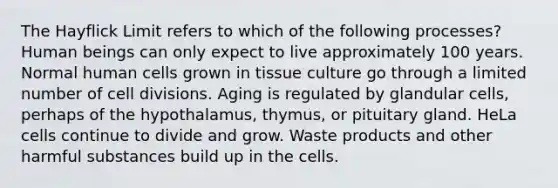 The Hayflick Limit refers to which of the following processes? Human beings can only expect to live approximately 100 years. Normal human cells grown in tissue culture go through a limited number of cell divisions. Aging is regulated by glandular cells, perhaps of the hypothalamus, thymus, or pituitary gland. HeLa cells continue to divide and grow. Waste products and other harmful substances build up in the cells.