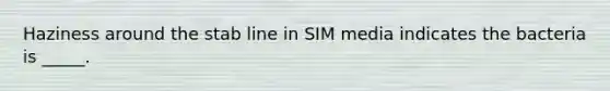 Haziness around the stab line in SIM media indicates the bacteria is _____.