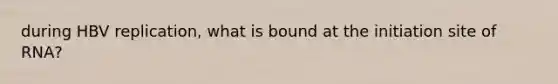 during HBV replication, what is bound at the initiation site of RNA?