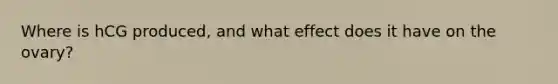 Where is hCG produced, and what effect does it have on the ovary?