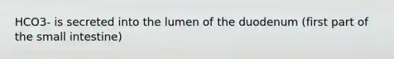 HCO3- is secreted into the lumen of the duodenum (first part of the small intestine)