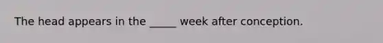 The head appears in the _____ week after conception.