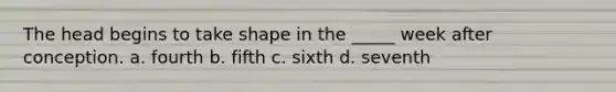The head begins to take shape in the _____ week after conception. a. fourth b. fifth c. sixth d. seventh
