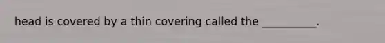 head is covered by a thin covering called the __________.