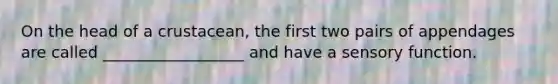 On the head of a crustacean, the first two pairs of appendages are called __________________ and have a sensory function.