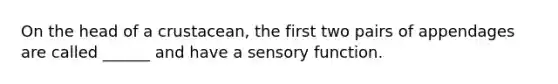 On the head of a crustacean, the first two pairs of appendages are called ______ and have a sensory function.