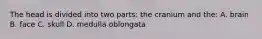 The head is divided into two parts: the cranium and the: A. brain B. face C. skull D. medulla oblongata