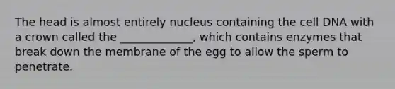 The head is almost entirely nucleus containing the cell DNA with a crown called the _____________, which contains enzymes that break down the membrane of the egg to allow the sperm to penetrate.