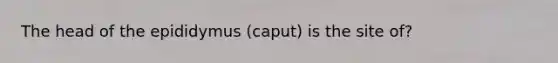 The head of the epididymus (caput) is the site of?