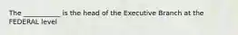 The ___________ is the head of the Executive Branch at the FEDERAL level