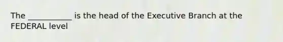 The ___________ is the head of the Executive Branch at the FEDERAL level