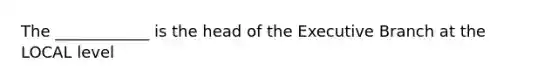 The ____________ is the head of the Executive Branch at the LOCAL level