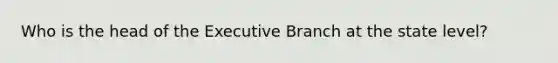 Who is the head of the Executive Branch at the state level?