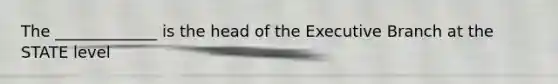 The _____________ is the head of the Executive Branch at the STATE level