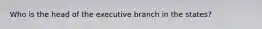 Who is the head of the executive branch in the states?
