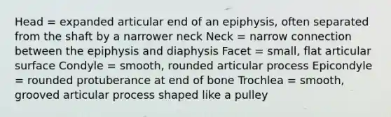 Head = expanded articular end of an epiphysis, often separated from the shaft by a narrower neck Neck = narrow connection between the epiphysis and diaphysis Facet = small, flat articular surface Condyle = smooth, rounded articular process Epicondyle = rounded protuberance at end of bone Trochlea = smooth, grooved articular process shaped like a pulley