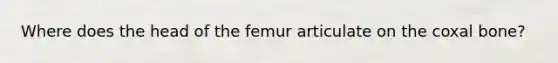 Where does the head of the femur articulate on the coxal bone?