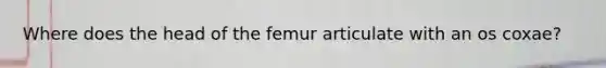 Where does the head of the femur articulate with an os coxae?