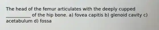 The head of the femur articulates with the deeply cupped ___________ of the hip bone. a) fovea capitis b) glenoid cavity c) acetabulum d) fossa