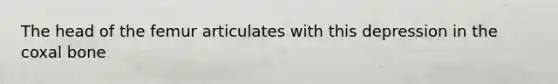 The head of the femur articulates with this depression in the coxal bone
