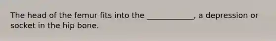 The head of the femur fits into the ____________, a depression or socket in the hip bone.