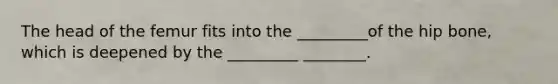 The head of the femur fits into the _________of the hip bone, which is deepened by the _________ ________.