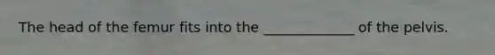 The head of the femur fits into the _____________ of the pelvis.