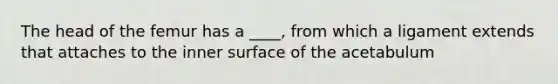 The head of the femur has a ____, from which a ligament extends that attaches to the inner surface of the acetabulum