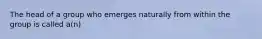 The head of a group who emerges naturally from within the group is called a(n)