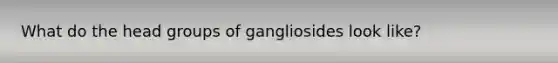 What do the head groups of gangliosides look like?