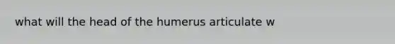 what will the head of the humerus articulate w