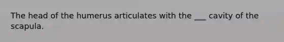 The head of the humerus articulates with the ___ cavity of the scapula.