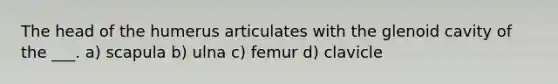 The head of the humerus articulates with the glenoid cavity of the ___. a) scapula b) ulna c) femur d) clavicle